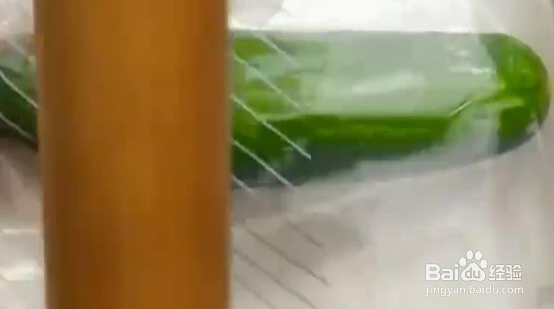 蔬菜有什么正确吃法