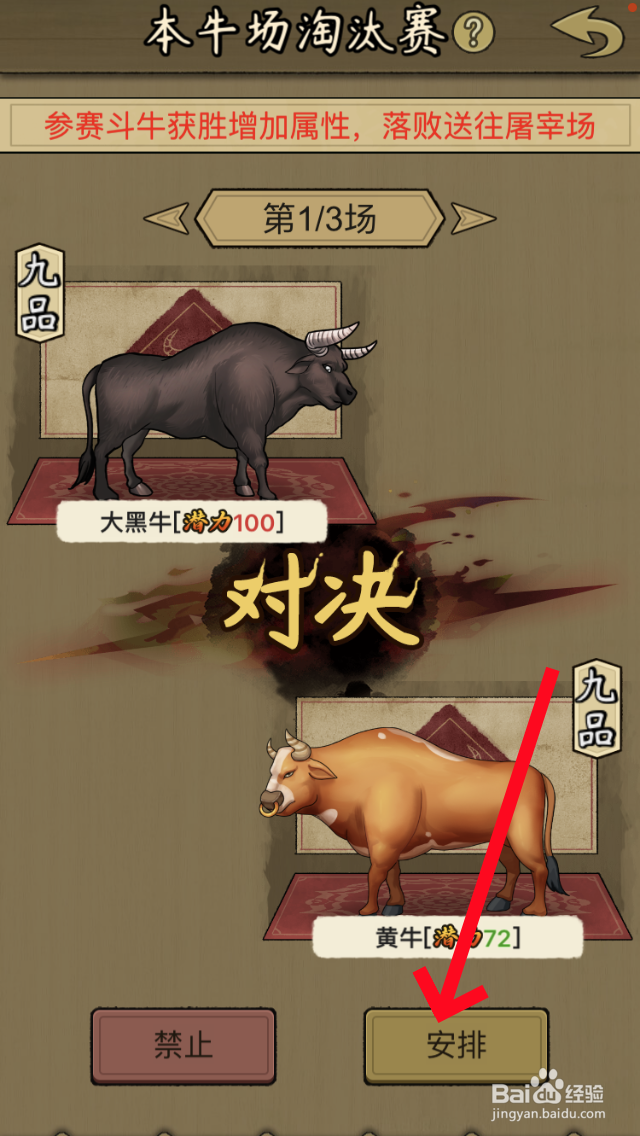 叫我斗牛王淘汰赛怎么玩