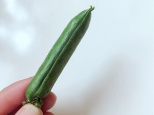 食补佳品豌豆船的做法