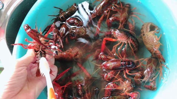 香辣十三香小龙虾