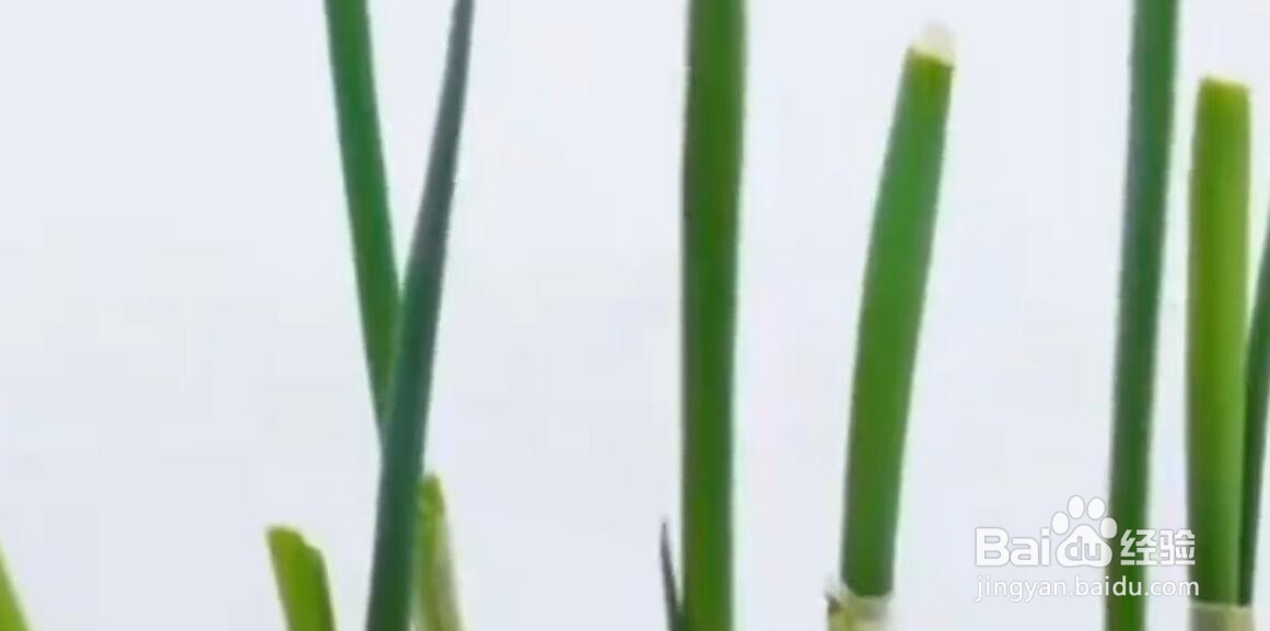生活中有什么种植小技巧