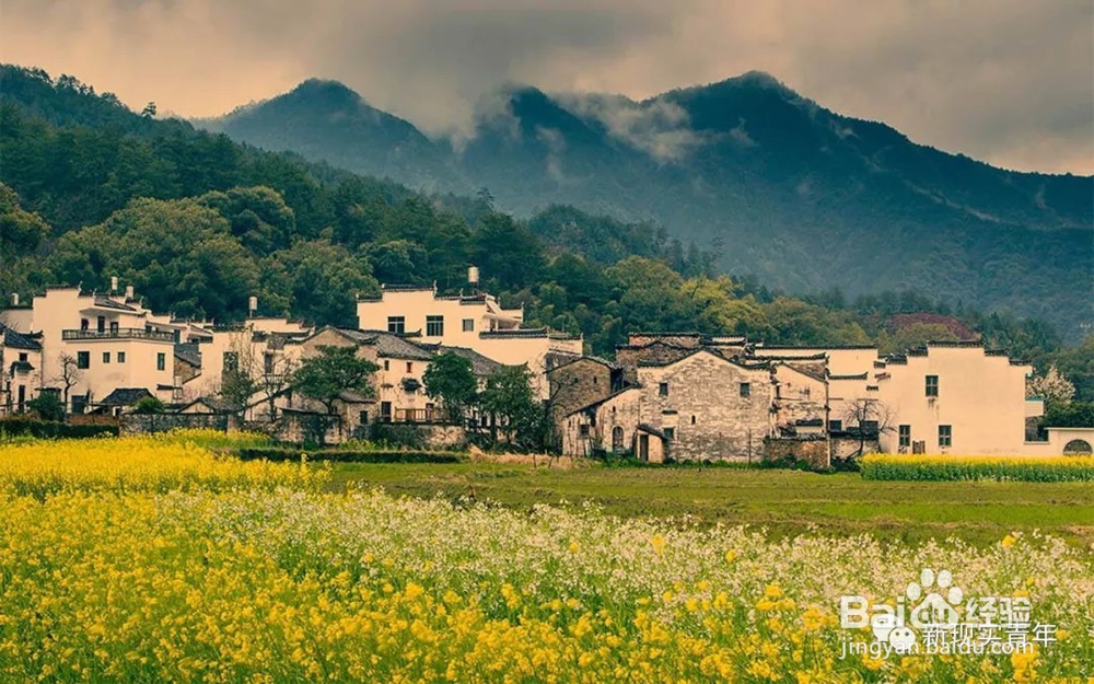 三月份去哪旅游