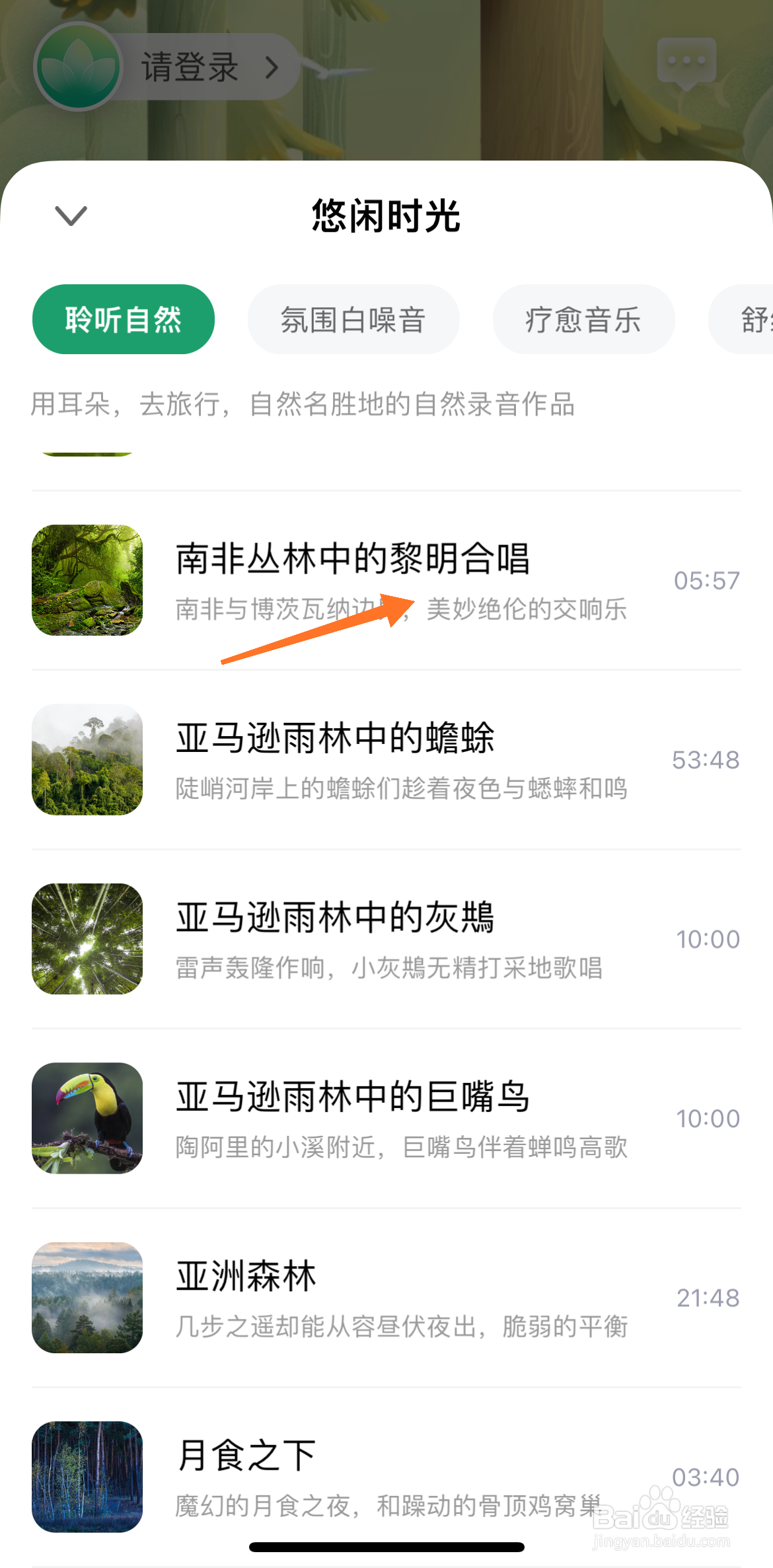 Quiet冥想中怎么播放南非丛林中的黎明合唱