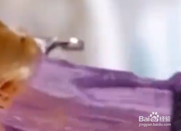 如何给芭比娃娃染头发？