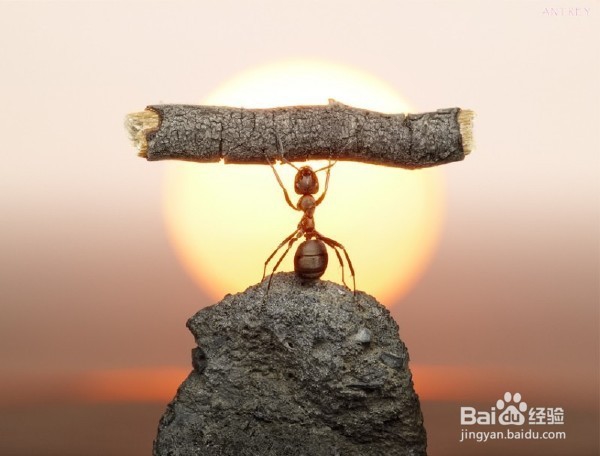 我如何成为更好的我