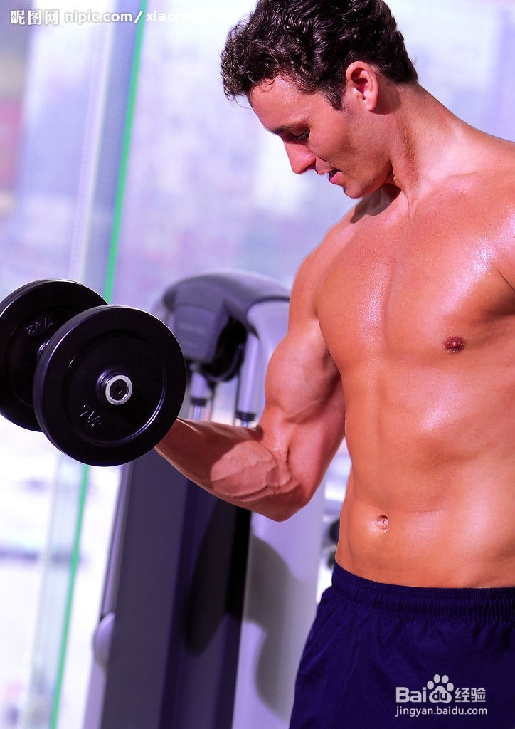 为什么锻炼不出肌肉