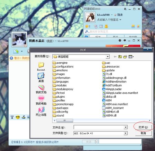 怎样使用阿里旺旺收发文件？