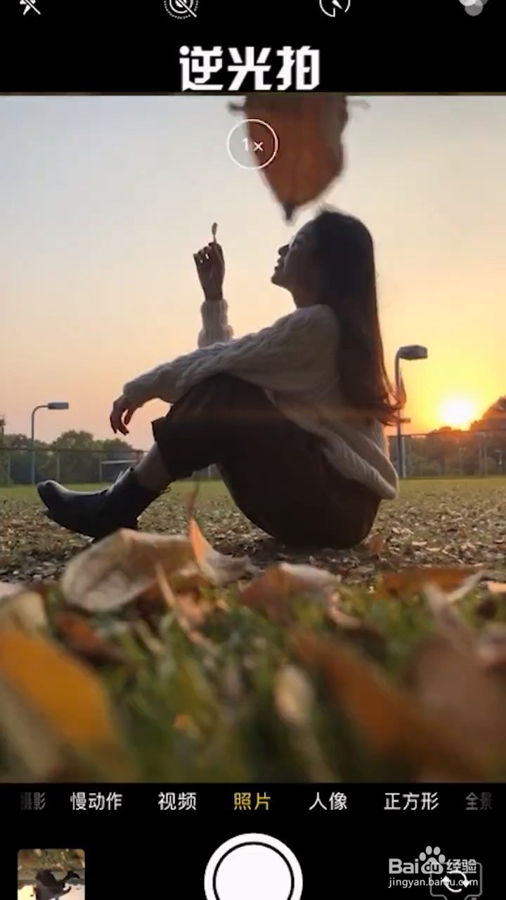 秋天落叶拍照技巧