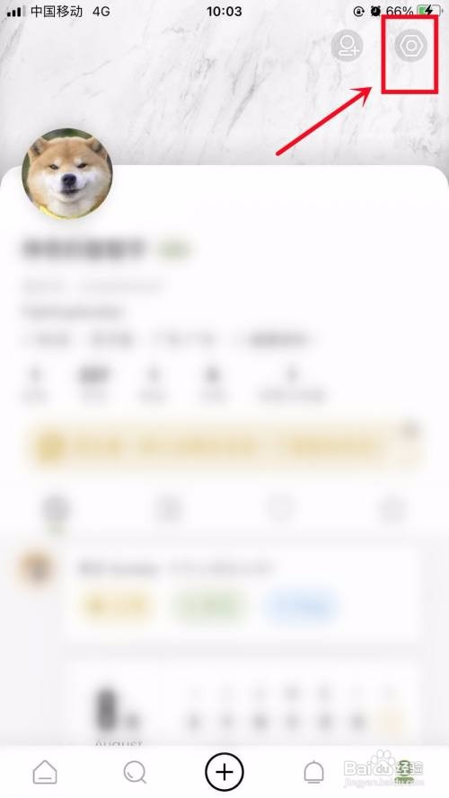 绿洲APP里面的个人绿洲号如何查看
