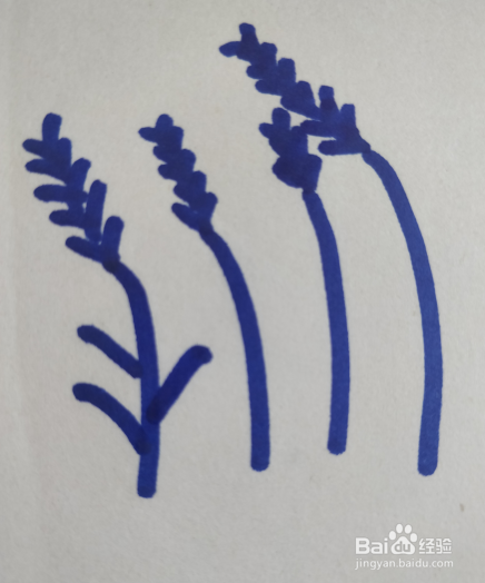 芦苇丛的简笔画怎么画?