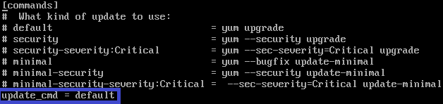 如何设置Linux自动更新