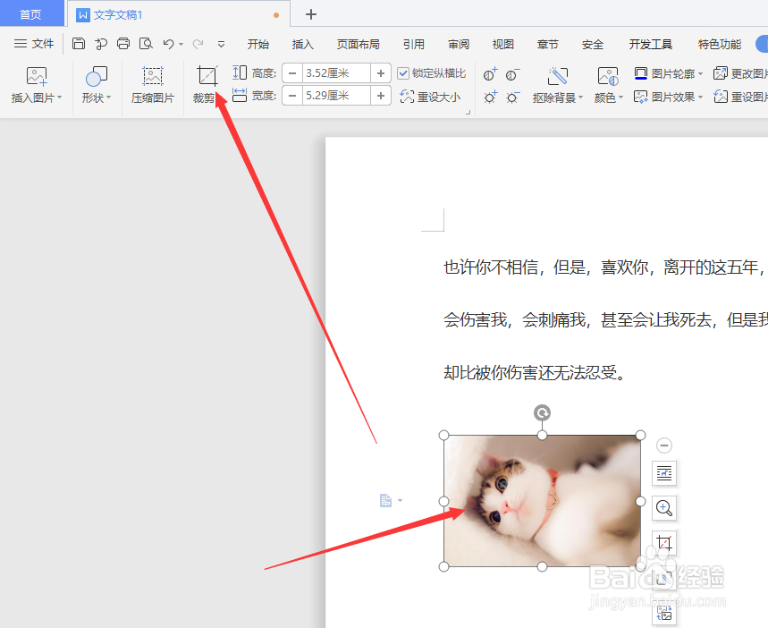 在WPS文档中怎样建立心形图片