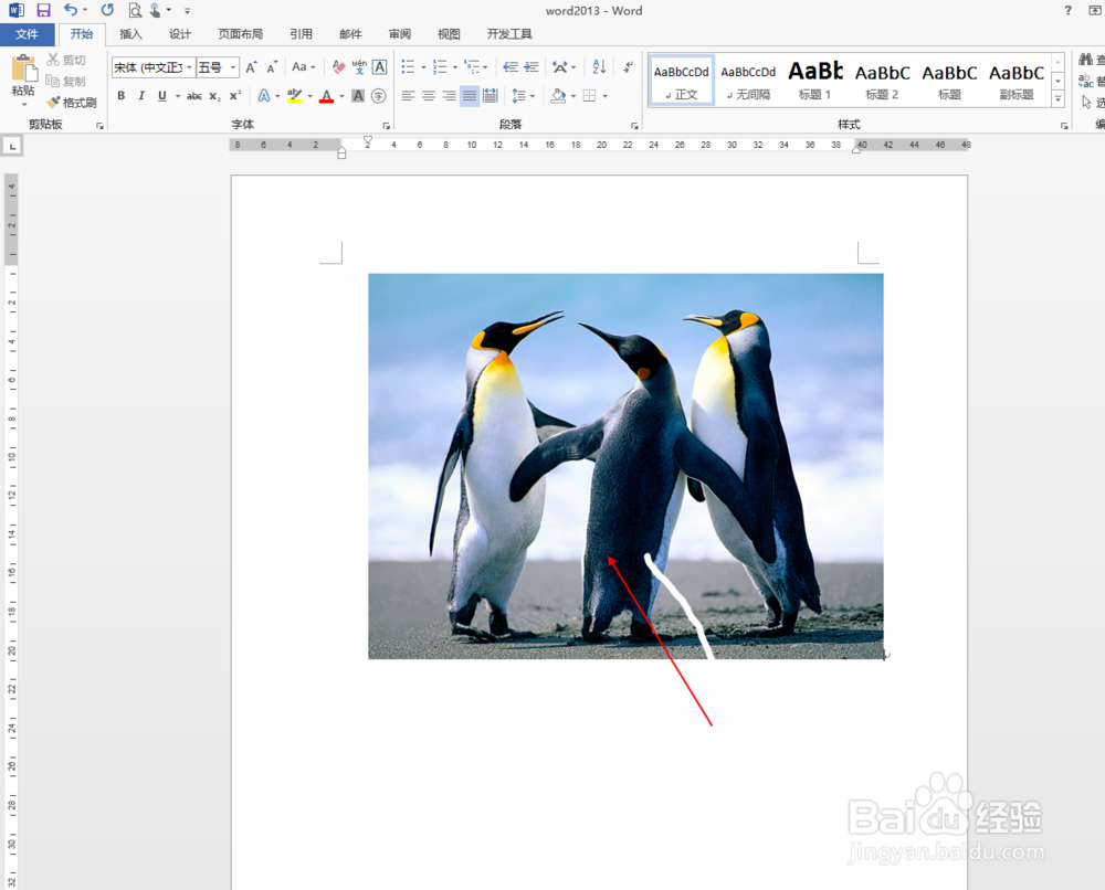 word2013中插入图片不显示