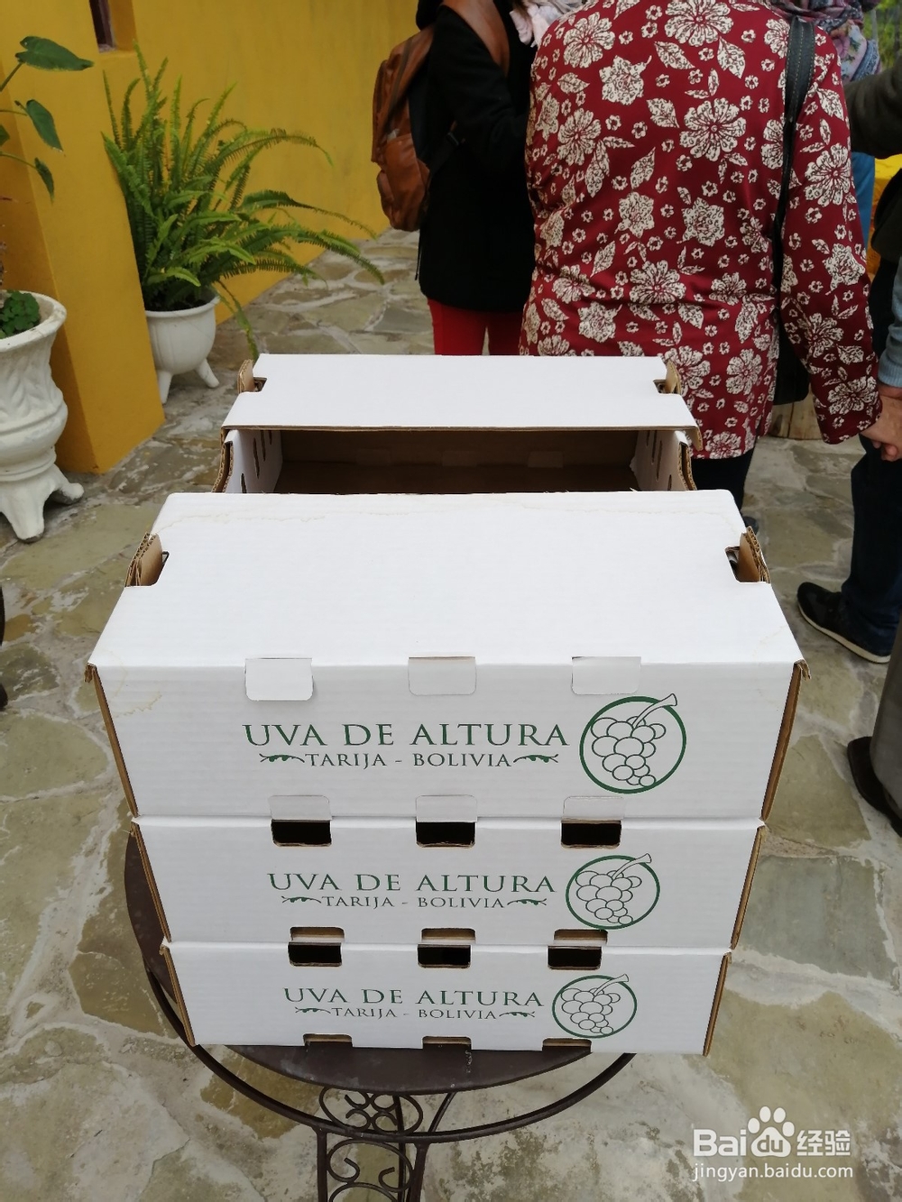 玻利维亚塔里哈市旅游攻略:红酒文化之旅