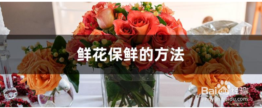 鲜花的养护和保鲜方法