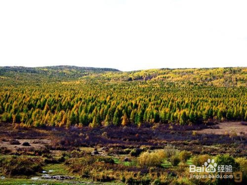 伊图里河旅游攻略