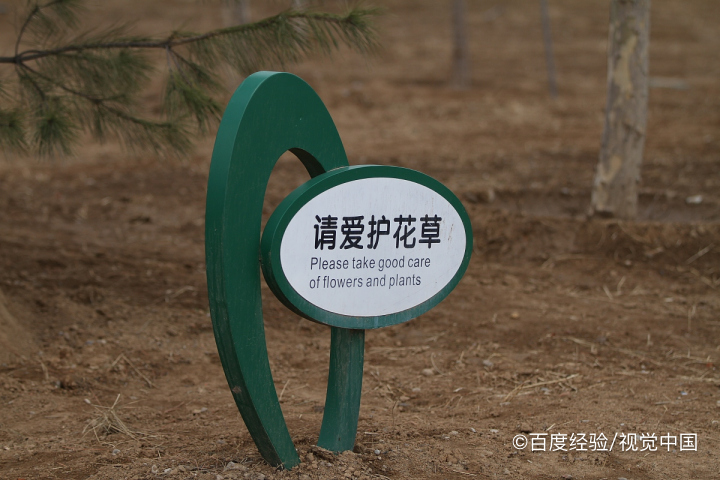 如何做一个文明的小学生