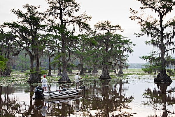 水库钓鱼的难点及应对技巧