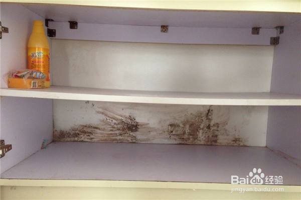 冬天如何去除房间内的湿气?