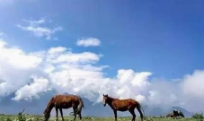 浮云牧场旅游攻略