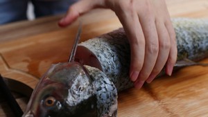 从来不煮的鱼糍粑鱼