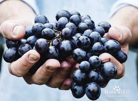 糖尿病人不宜多吃的水果