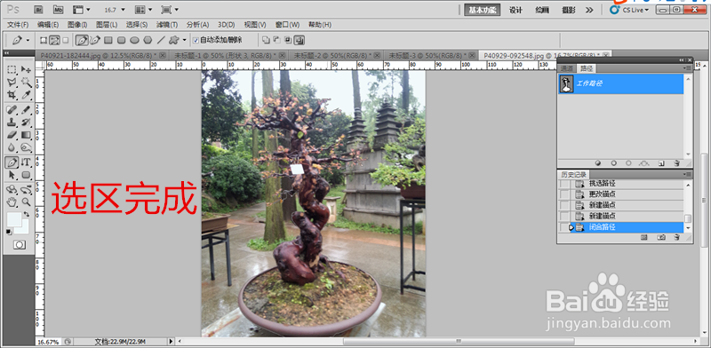 ps中怎么使用钢笔工具选图？
