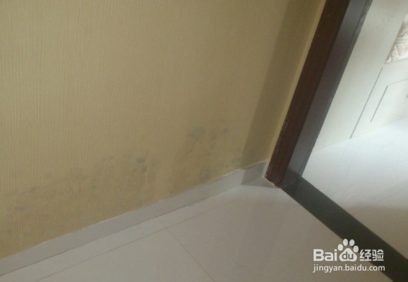 房间墙壁发霉怎么处理
