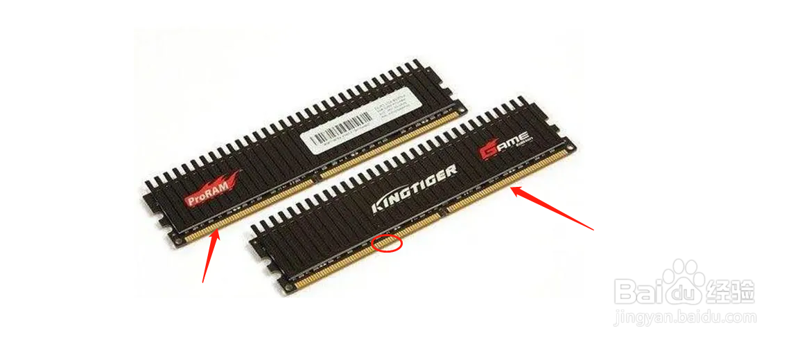 电脑显示器不显示