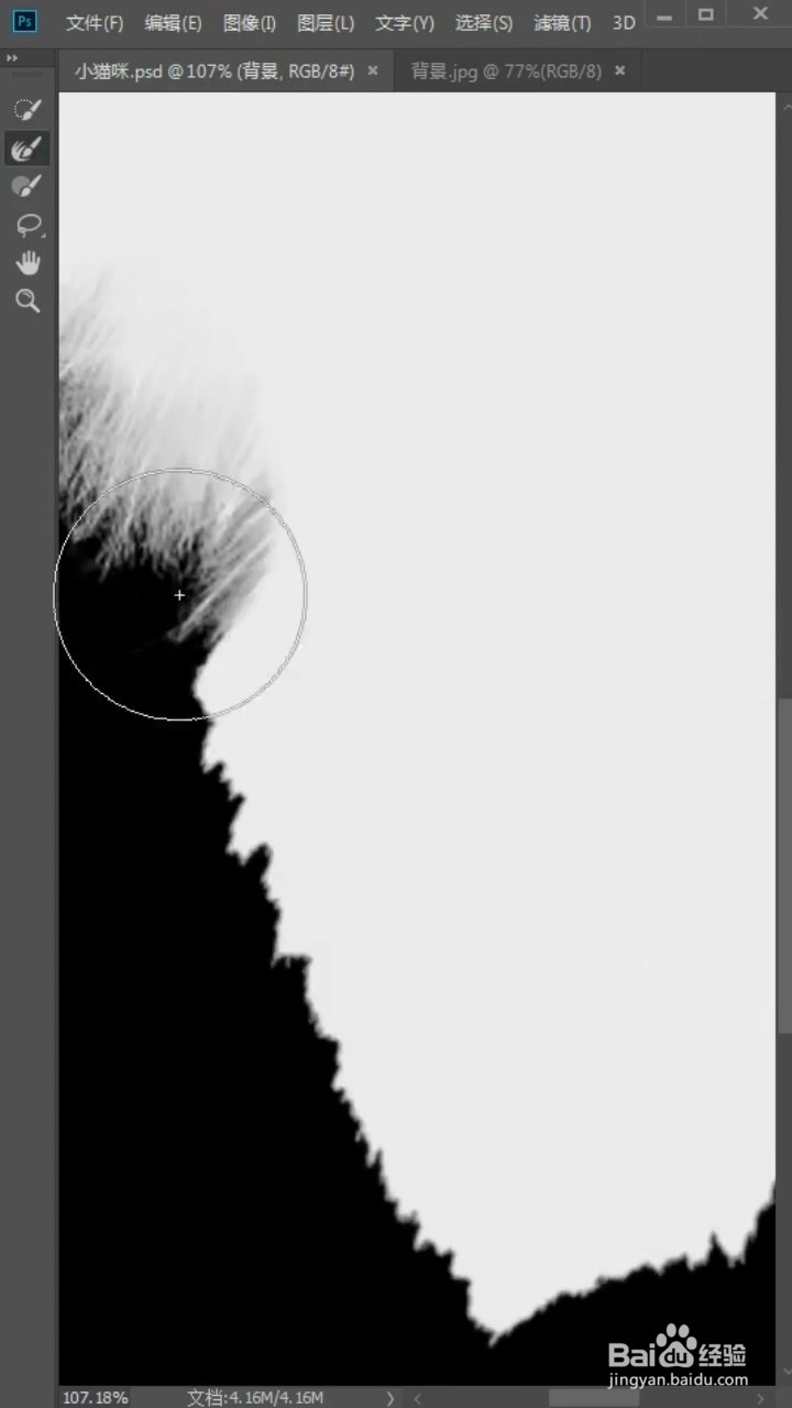 PS中如何抠猫咪的毛发?