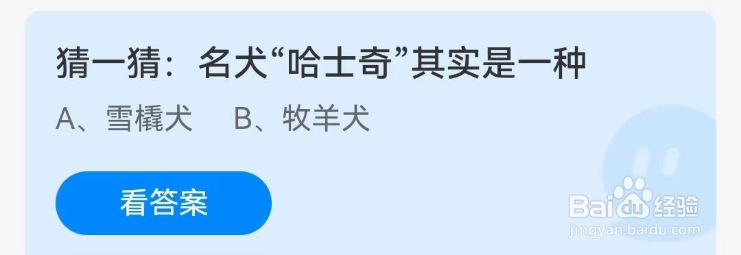 “哈士奇”其实是一种?蚂蚁庄园问题
