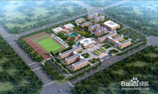 报志愿怎么选专业