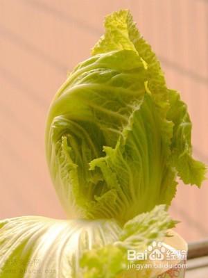 蔬菜不是只能用来吃 生活小妙招