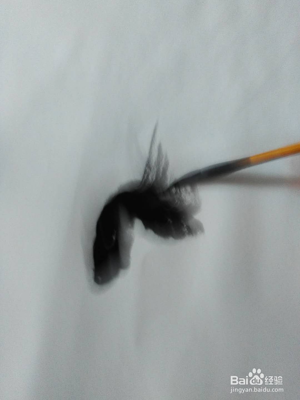 国画马的水墨画法。