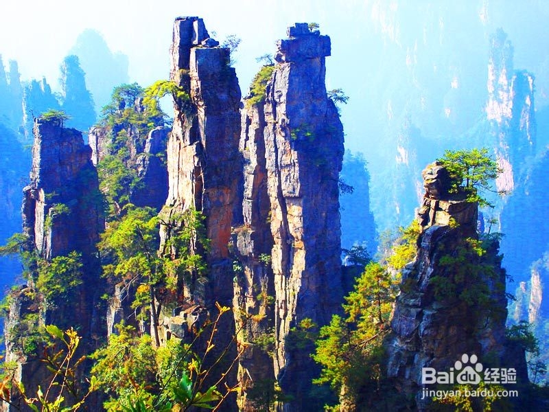 重庆至张家界自驾游