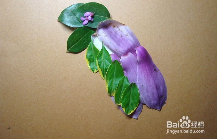 植物画如何拼装威武的霸王龙