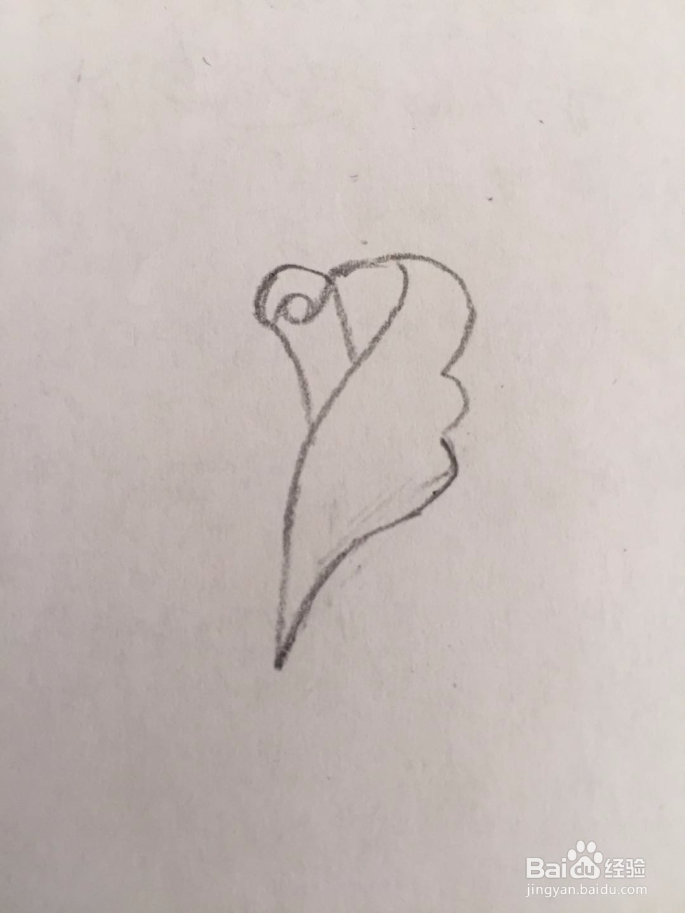 简笔画玫瑰花的画法