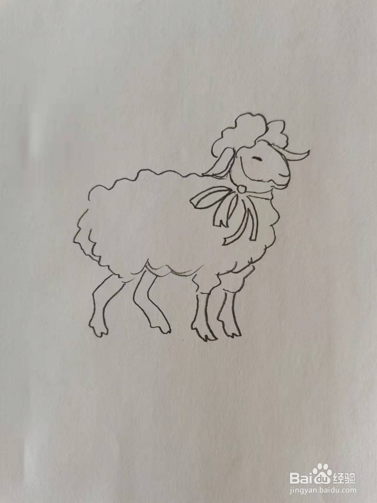 优雅的小绵羊怎么画