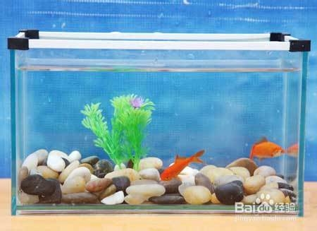 鱼缸,水族箱等养鱼的容器可用3～5%食盐水浸泡1～2天,也可用20毫克