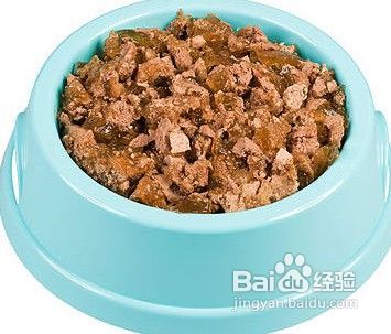 三个方法让狗狗有食欲