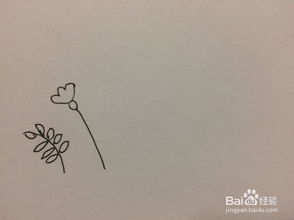 黑板报小花插图的画法