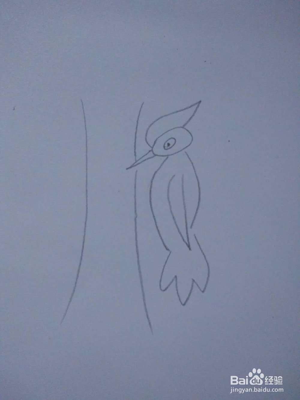 简笔画-如何画啄木鸟的简笔画?