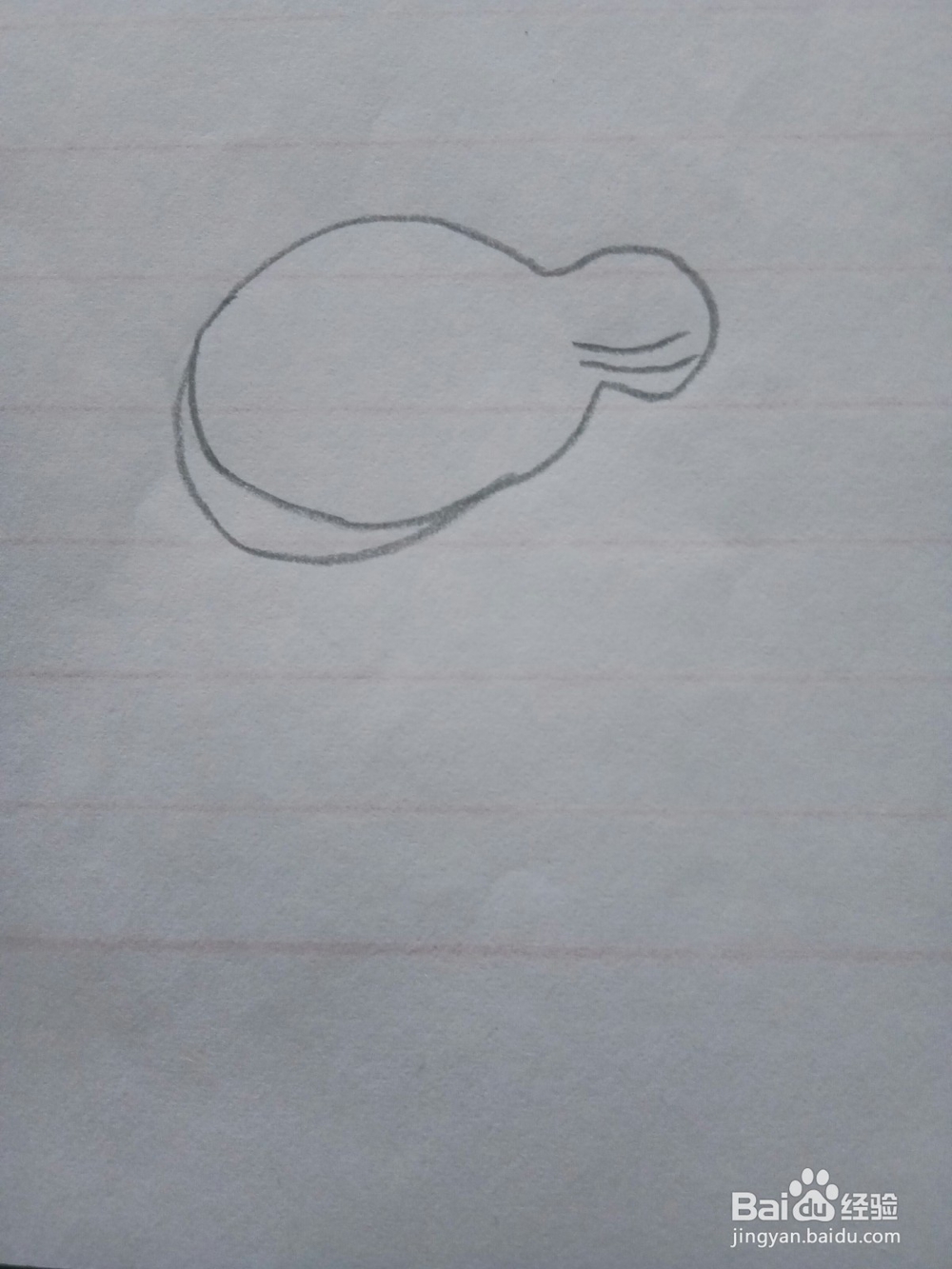 简笔画木瓜的画法2