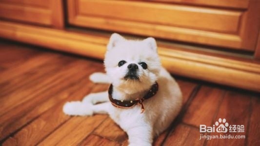 修炼职场软实力