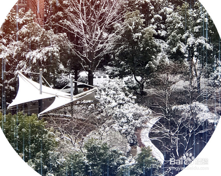 冬天来了出外旅游上海一走看初雪公园雪景真美