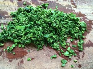 养生食补香椿炒蛋的做法