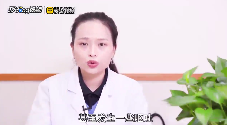 狗被车撞了怎么恢复