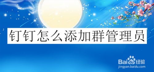 钉钉怎么添加群管理员