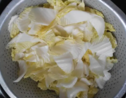 如何做干煸白菜
