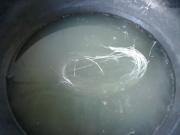 简单又特别芥末金针菇的做法